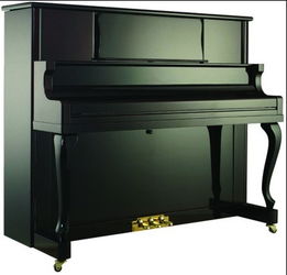 霸州有名气的珠江钢琴